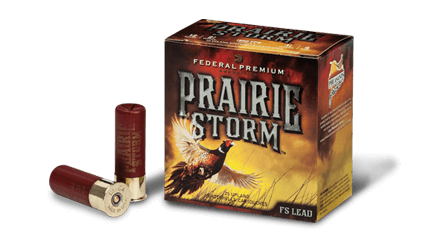 PRAIRIE STORM®